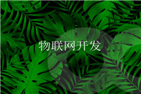 軟件開發(fā)管理系統(tǒng)的技術(shù)特點(diǎn)